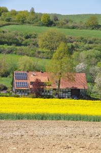 Appartement Forsthaus Wilmeröderberg Robrexer Str. 4 1. Etage im Forsthaus 37647 Polle Basse-Saxe