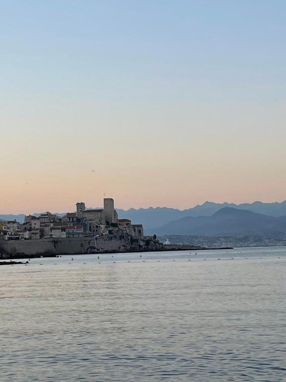 Forum 25 Avenue Philippe Rochat, 06600 Antibes