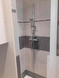 FORVILLE APPARTMENT Cannes