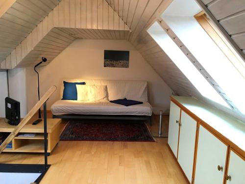 Freiburg Citywohnung