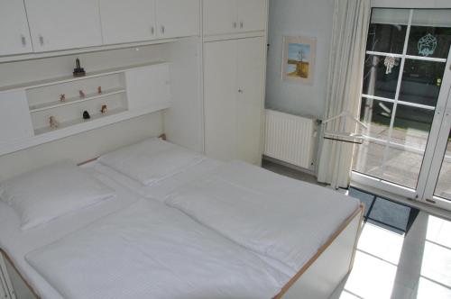 Friesenhaus-Maren-Strandflieder