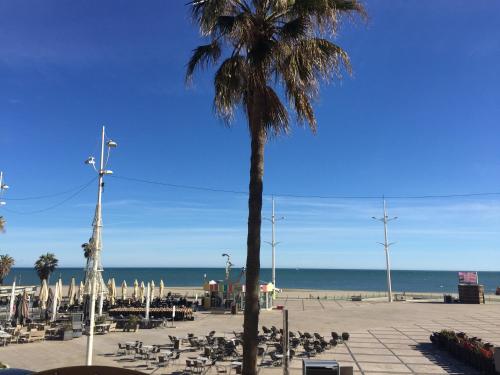 Appartement Front de Mer Canet-en-Roussillon france