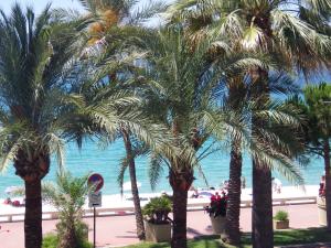 Front de mer, croisette,cannes,prés du Martinez