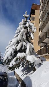 Front de neige Panoramique
