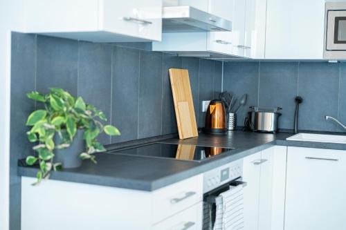 FULL HOUSE Premium Apartments Dresden A6