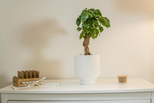 FULL HOUSE Studios - The Jungle Apartment - NETFLIX, WiFi inkl