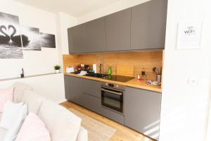 FULL HOUSE Studios - The Swansea Apartment - NTFLX + WiFi