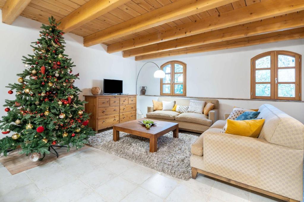 Fully Equipped Apartment