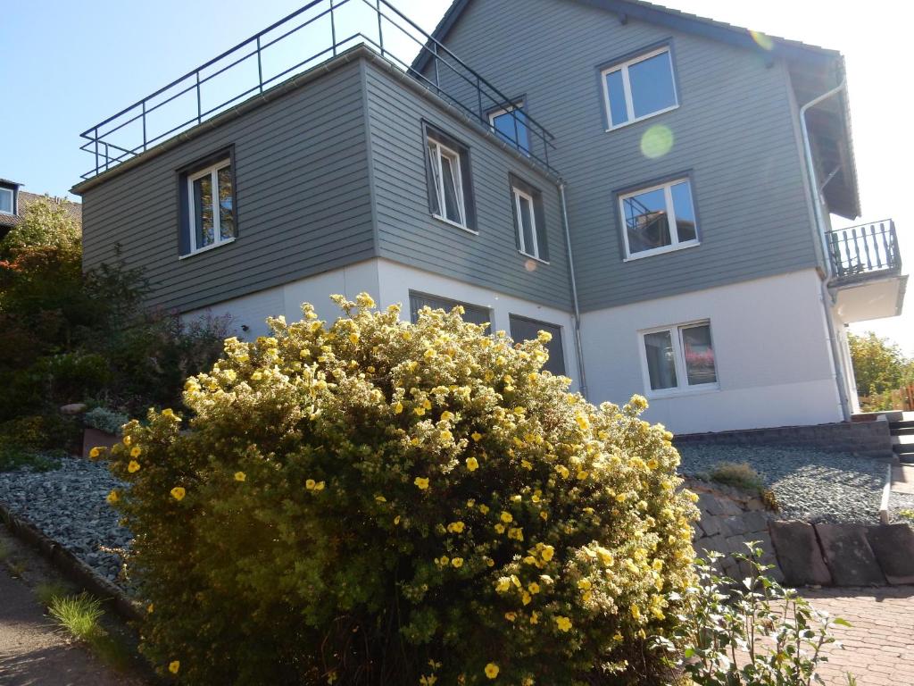 Appartement Fünf Harzer Berge - Oderberg Katharina-Neufang-Straße 21 37444 Sankt-Andreasberg