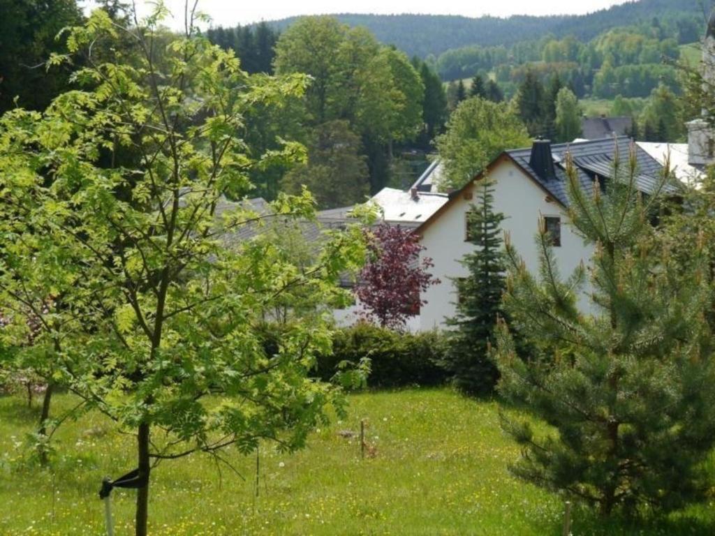 Appartement Fünf-Sterne Dachgeschosswohnung Rohrbacher Str. 20 08648 Bad Brambach