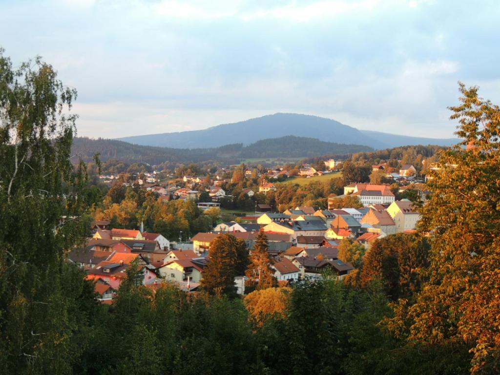 FW Zauberblick 19 Degenbergerstraße 1. Obergeschoss, 94227 Zwiesel