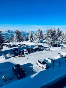 Galerie Roche Beranger « Le doux Chalet »