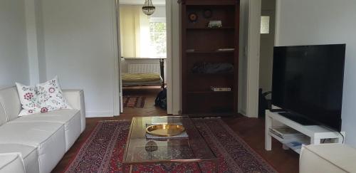 Ganze Wohnung mit Garten (Schwachhausen/Gete)