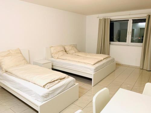 Ganzes Apartment 20 min vom Frankfurt HBF