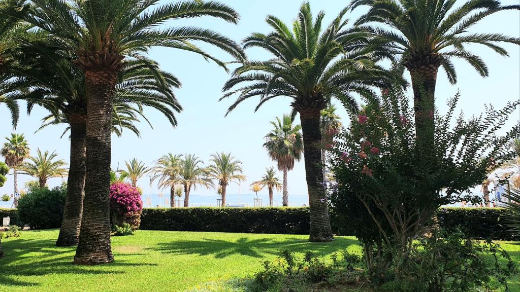 Garden and beach sea view apartment Cannes Résidence Cydonia, appartement n°113 68 Boulevard du Midi Louise Moreau, 06150 Cannes