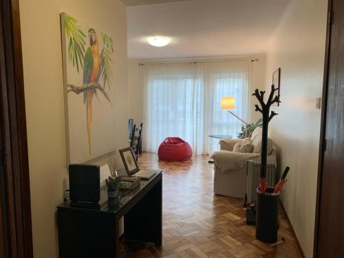 Garden Apartment, great for couple - Ponta Delgada