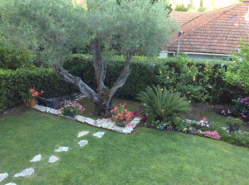 Garden Cap D'Antibes