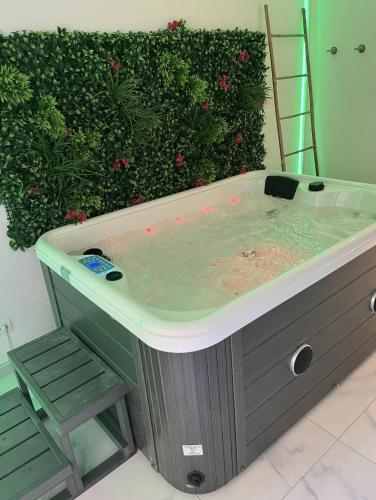 Garden Suite Cocooning, Jacuzzi, 2 pers, WiFi