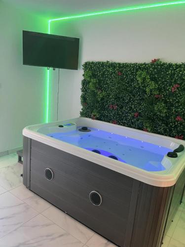 Garden Suite Cocooning, Jacuzzi, 2 pers, WiFi