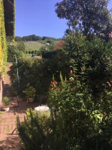 Appartement Gartenwohnung 34 Am Rebberg 79194 Gundelfingen Bade-Wurtemberg
