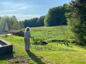 Gartenwohnung im Gut Sonnenwald