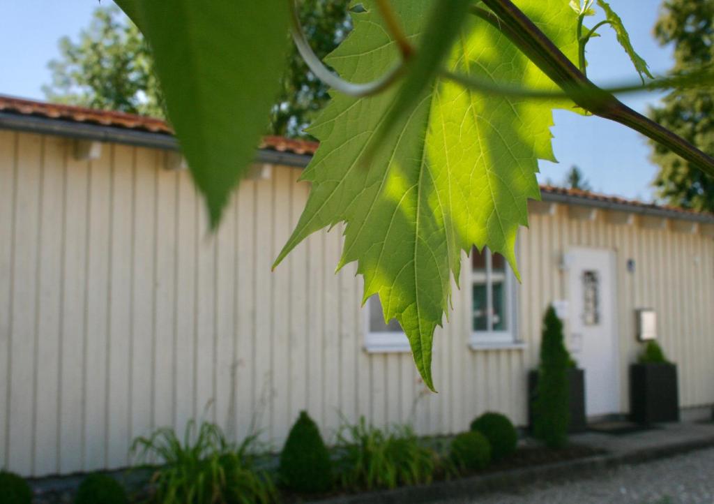 Gästehaus Gaumenflug am See Otto-Lilienthal-Weg 3, 89312 Guntzbourg