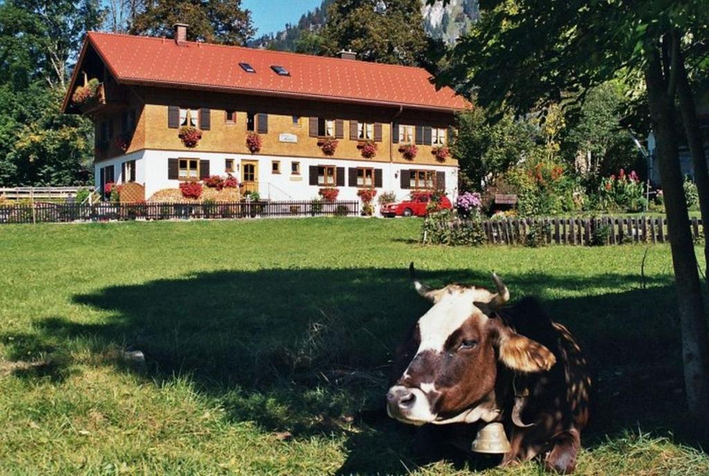 Appartement Gästehaus Hedwig 2 Mühlweg 87541 Bad Hindelang