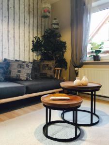 Appartement Gästehaus Sellemols Ferienwohnung Küfer 21 Klingbachstraße 76831 Heuchelheim-Klingen Rhénanie-Palatinat