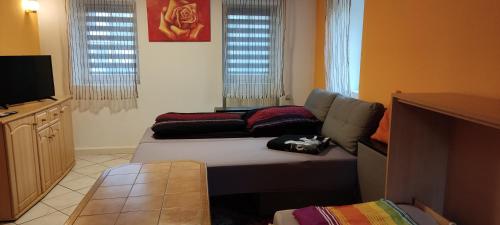 Gästewohnung am Thümmlitzwald