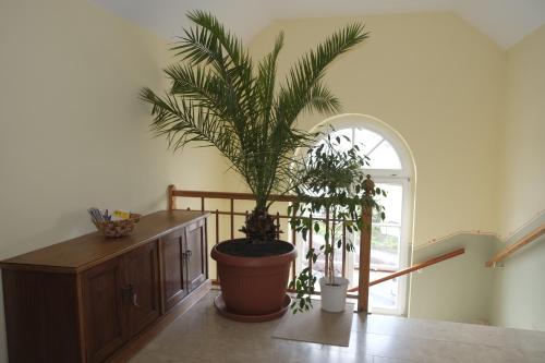 Gästewohnung Elström