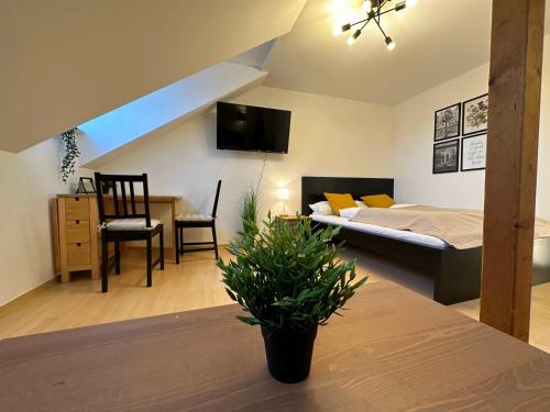 Gemütliche, charmante Ferienwohnung Nähe Zentrum