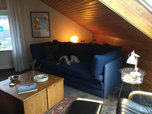 Gemütliche Dachwohnung