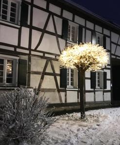 Appartement Gemütliche Fachwerkwohnung 18a Kottenforststraße 53347 Alfter Rhénanie du Nord - Westphalie