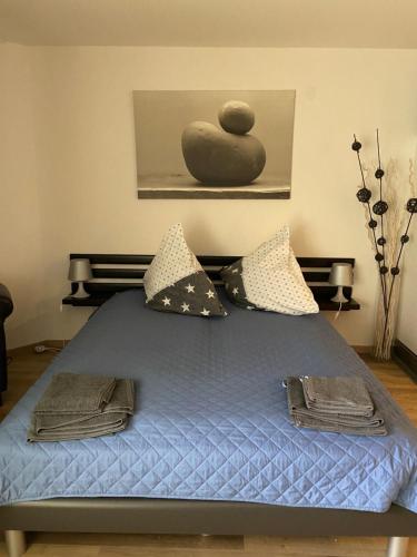 Gemütliche Ferienwohnung EVIELINE in Todtmoos