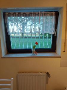 Gemütliche Souterrainwohnung