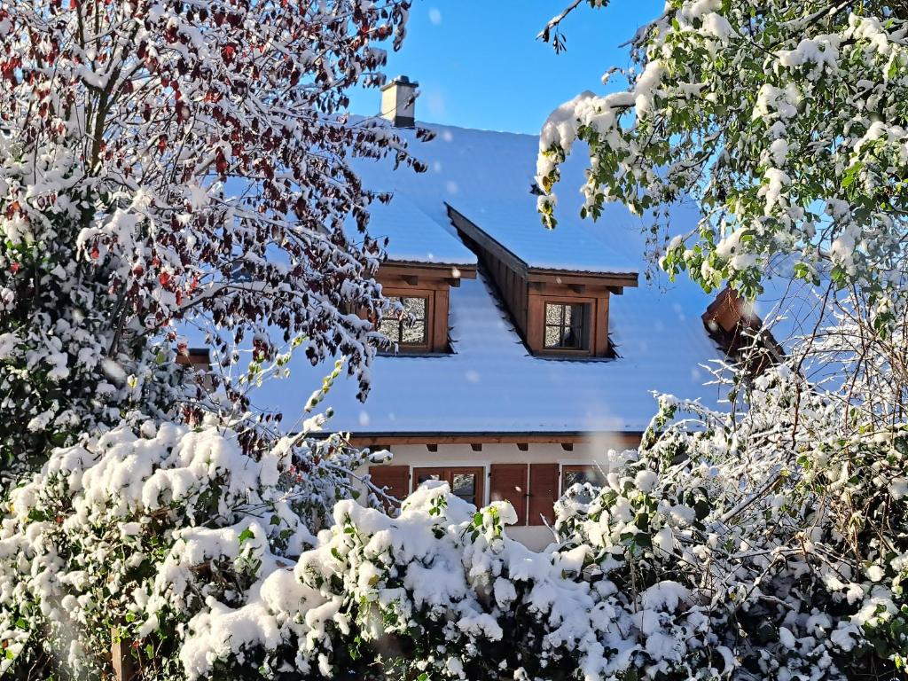 Gemütliche Waldrandlage in Badenweiler Sehringen Ferienwohnung 3 Schmalweg, 79410 Badenweiler