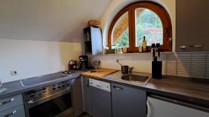 Gemütliche Waldrandlage in Badenweiler Sehringen Ferienwohnung