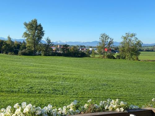Gemütliche Wohnung mit Ofen und Naturblick