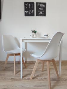 Gemütliches Apartment in zentraler Lage 22qm