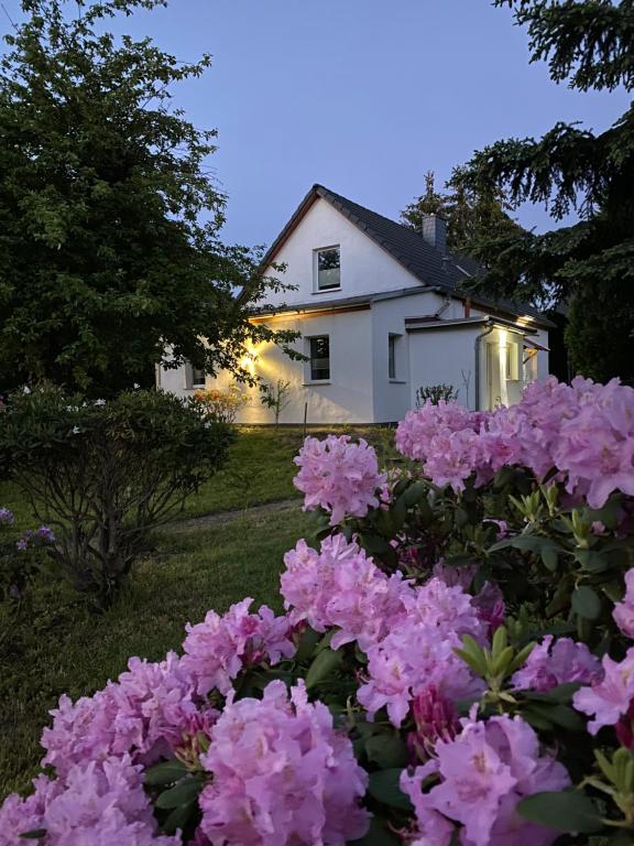 gemütliches Ferienhaus 19 Schleifer Weg, 03130 Spremberg