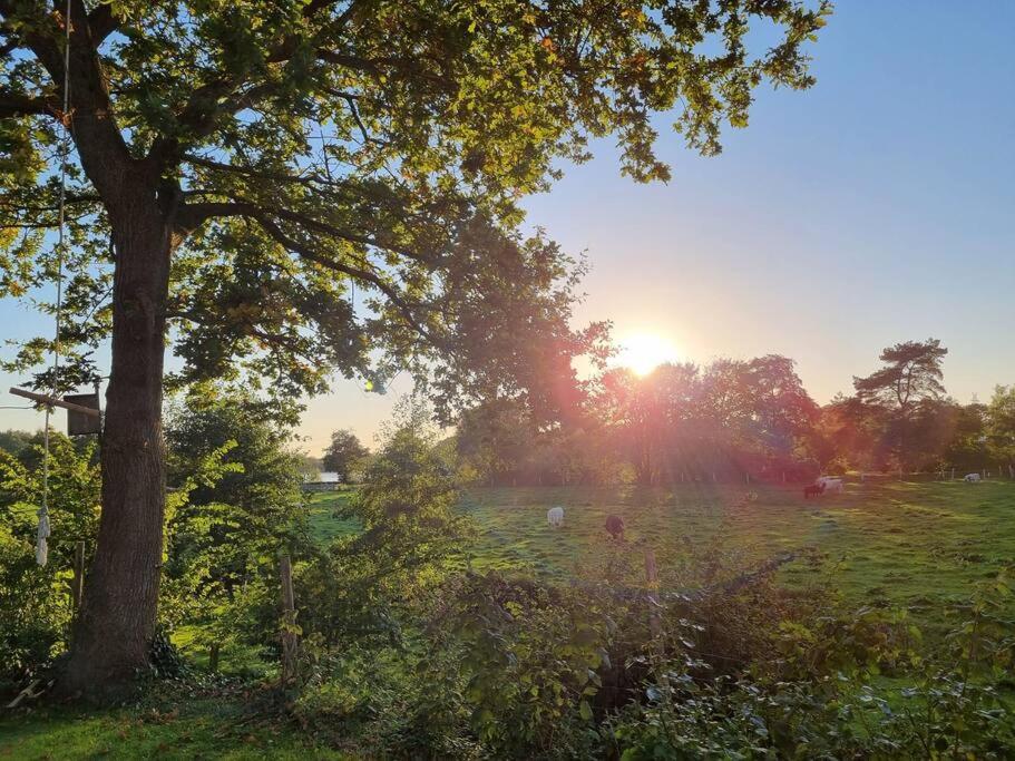 Gemütliches Häuschen mit Seeblick und Kamin 32 Dorfstraße, 24855 Bollingstedt