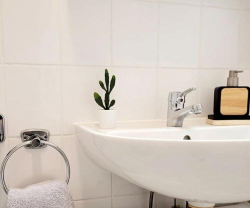 Gemütliches helles Appartement