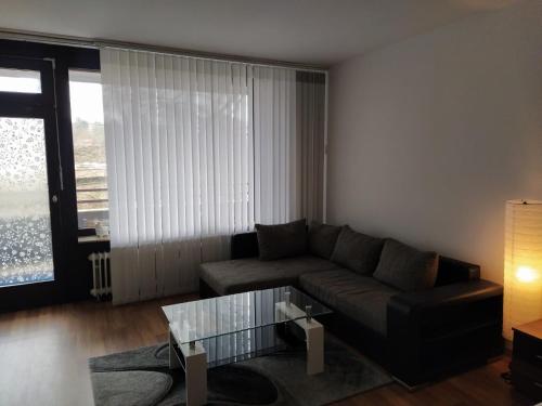 Gemütliches und ruhiges Appartement B210
