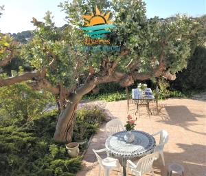 Giens/RDJ T3 indépendant/terrasse vue Mer