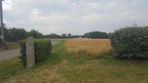 Gîte 3 places au cœur du Trégor