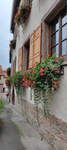 Gîte À l'aigle de sable