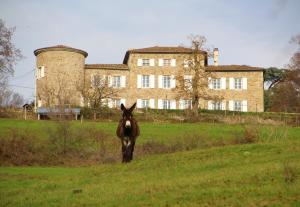 Appartement Gîte Alexandrine 293 chemin de la Rivoire 42220 Saint-Julien-Molin-Molette Rhône-Alpes