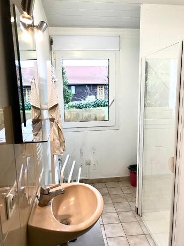 Appartement Gite Belle Vue 20 Chemin des Biches 69490 Saint-Romain-de-Popey Rhône-Alpes