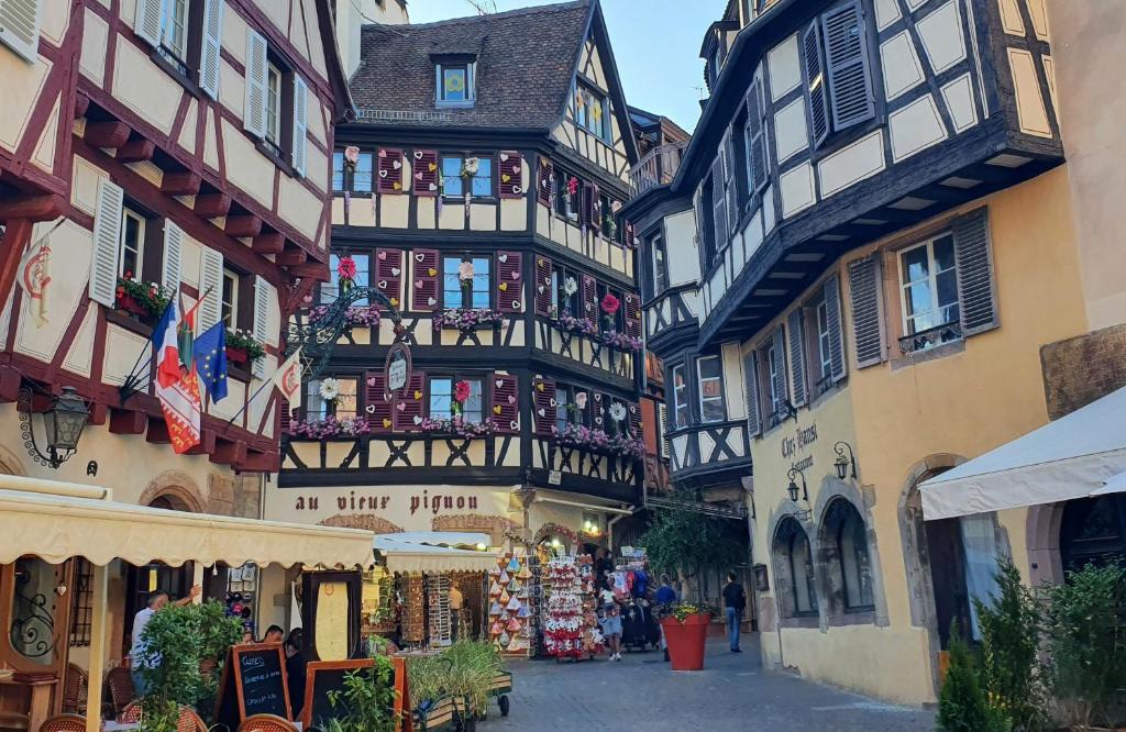 Appartement Gîte Bienvenue à Colmar,proche centre-ville et parking gratuit 30 Rue de la Bleich 68000 Colmar