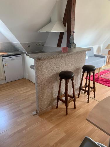 Appartement GITE CENTRE ALSACE 1 Impasse du Hasenhof 67140 Barr Alsace